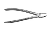 Veterinary Extracting Forceps - Large Breed
